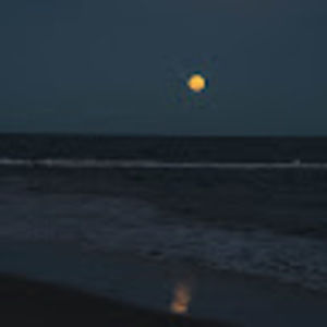 Meet your Posher, Fatima